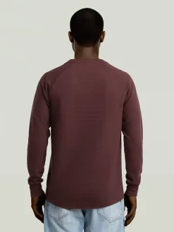 Bluza w kolorze bordowym