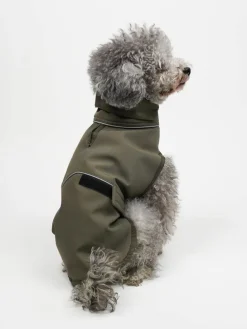 Bluza w kolorze khaki dla psa