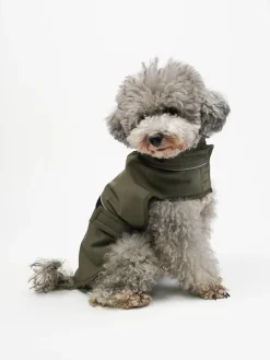 Bluza w kolorze khaki dla psa