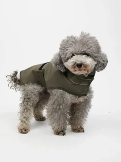 Bluza w kolorze khaki dla psa