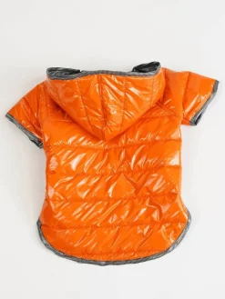 Bluza w kolorze pomarańczowym dla psa