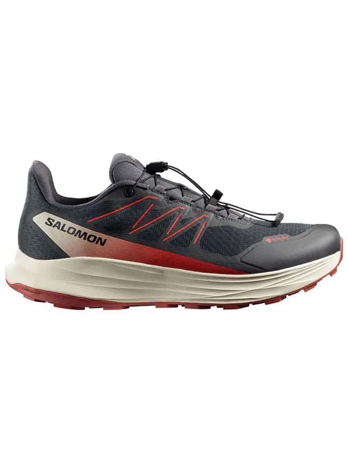 Buty "ALPHARIDE 2 GORE-TEX" w kolorze antracytowym do biegania