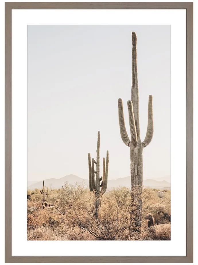 Druk artystyczny "Cactus in Arizona" w ramce - 70 x 50 cm