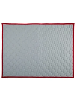Mata treningowa w kolorze szarym dla szczeniąt - 60 x 45 cm