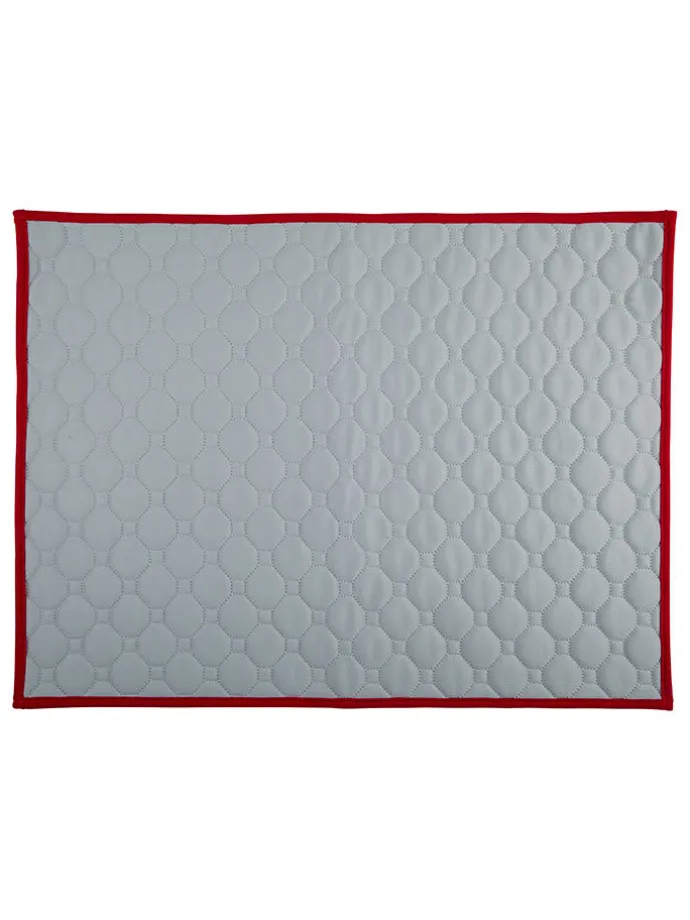 Mata treningowa w kolorze szarym dla szczeniąt - 60 x 45 cm
