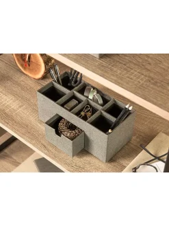 Organizer 