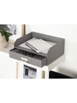 Organizer 