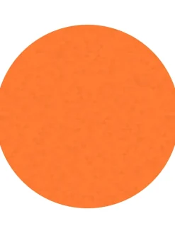 Skoroszyty (5 szt.) 