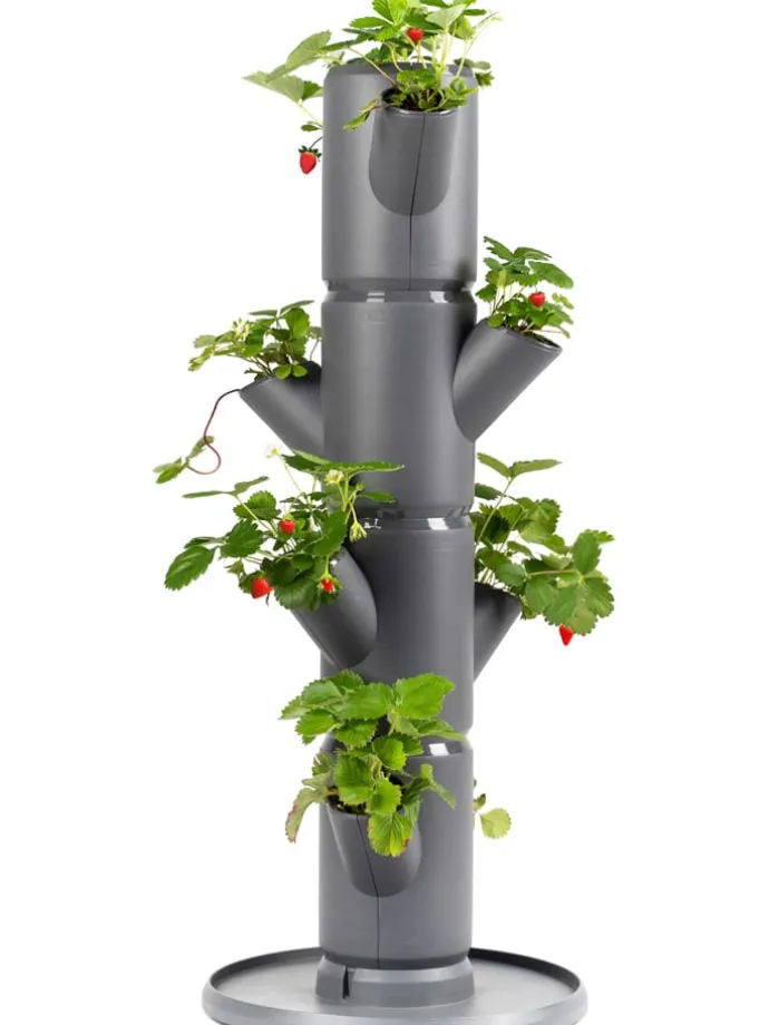 System sadzenia "Sissi Strawberry Starter" w kolorze szarym - wys. 77 cm