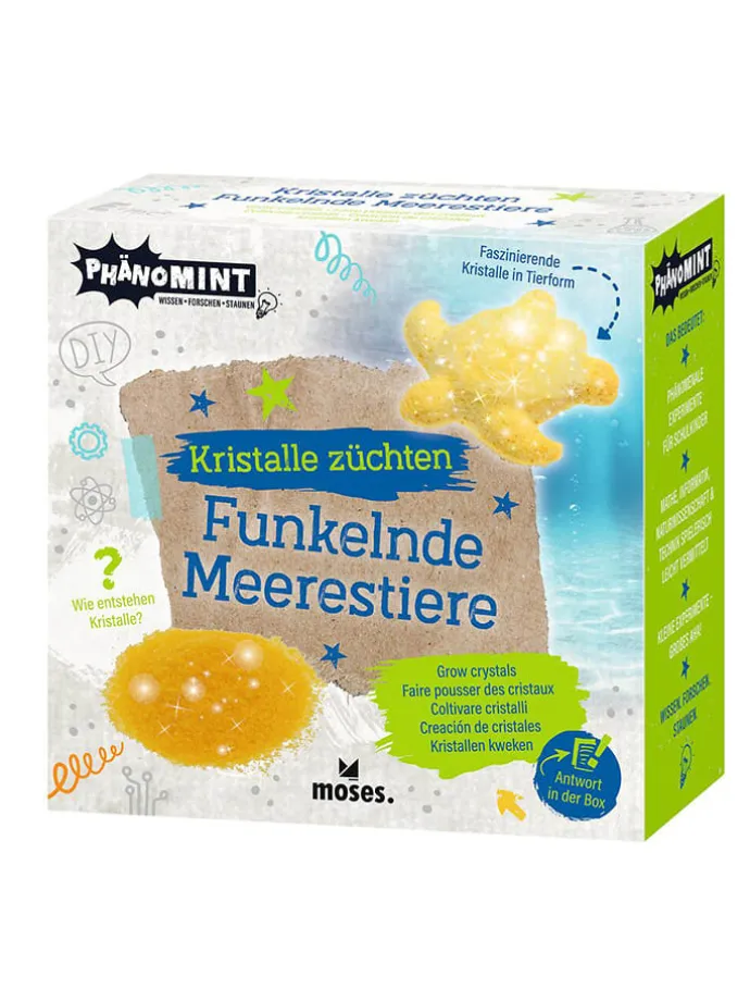 Zestaw do eksperymentowania - 8+ (produkt niespodzianka)