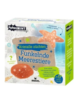 Zestaw do eksperymentowania - 8+ (produkt niespodzianka)