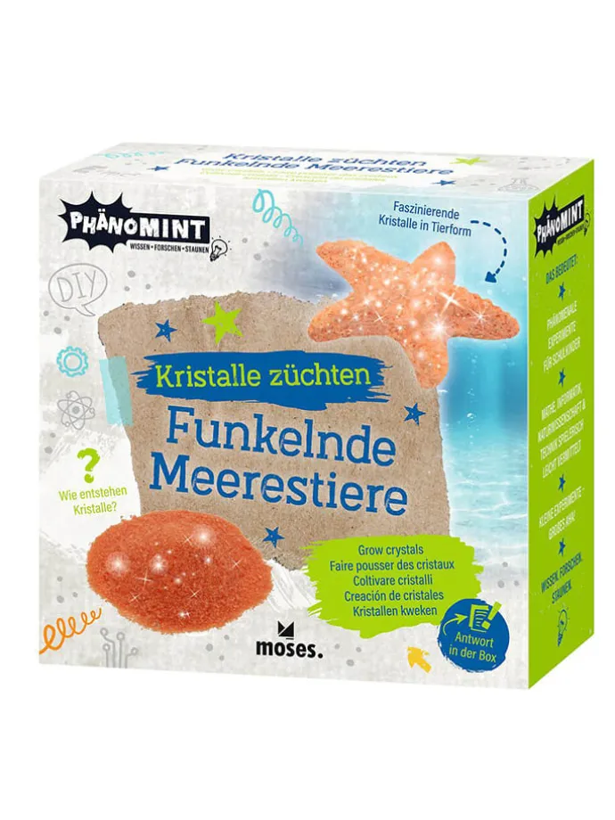 Zestaw do eksperymentowania - 8+ (produkt niespodzianka)