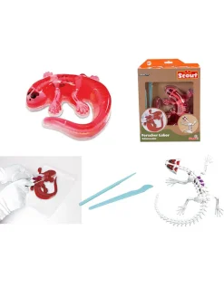 Zestaw "Salamander" do eksperymentowania - 6+ (produkt niespodzianka)